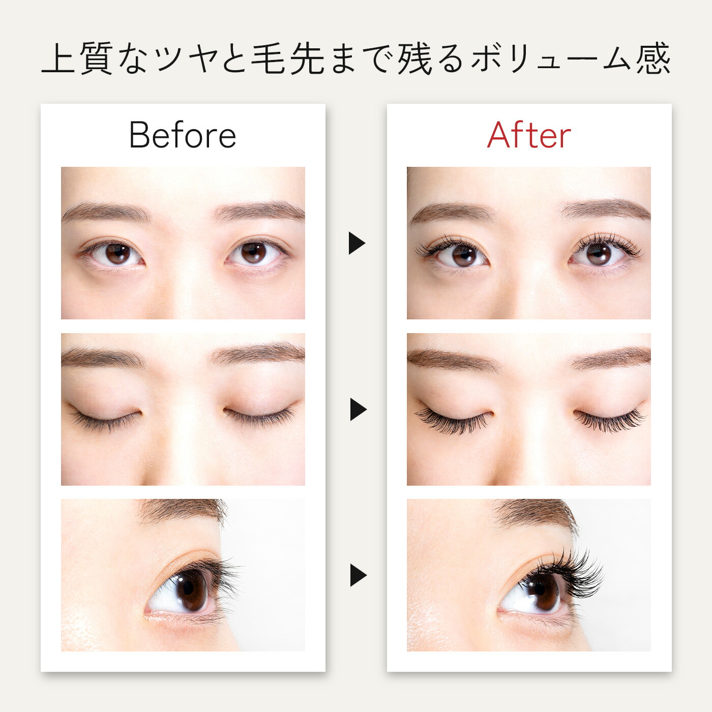 楽天市場】ボリュームセーブル12列 Dカール (太さ:0.12/0.15/0.2/0.23