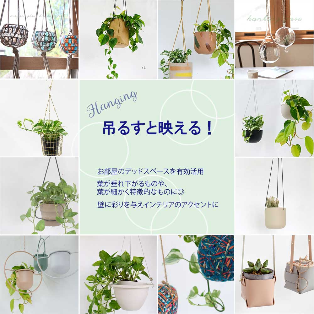 楽天市場 | ガーデニング日和 - ガーデンライフが楽しくなるような雑貨