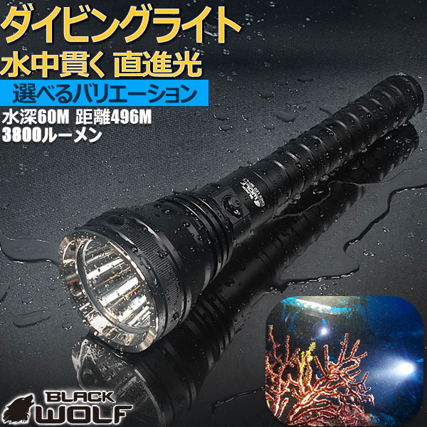 楽天市場】【エントリーでP10倍♪2/28(土）迄】LED ダイビング ライト