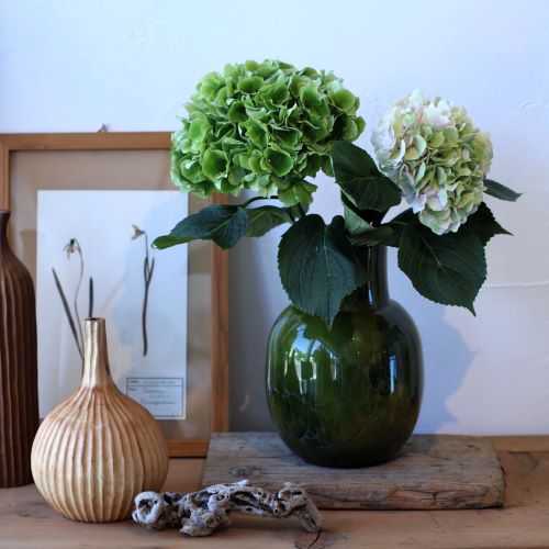 楽天市場】FIDRIOフラワーベースL【緑】【フィデリオ】【ガラスベース