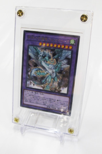 楽天市場】【ウルトラプロ UltraPro 収集用品】1/4インチ スクリュー