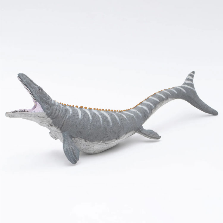 楽天市場】【フェバリット FAVORITE】ビニールモデル人気恐竜5体セット