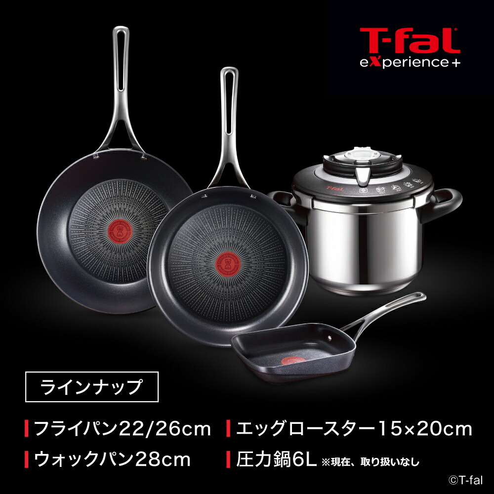 楽天市場】ティファール T-fal IH対応 ガス ガス火 直火 兼用