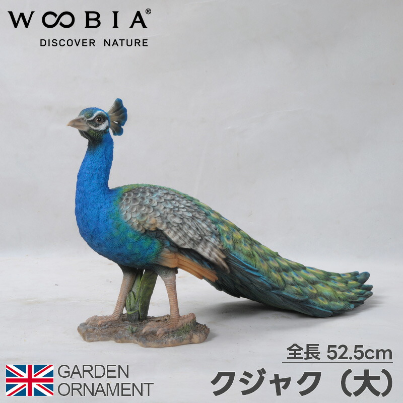 楽天市場】孔雀 クジャク くじゃく オブジェ オーナメント ガーデン