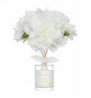 楽天市場】DEICA デイカ＜公式＞ セントエレメンツ アロマ