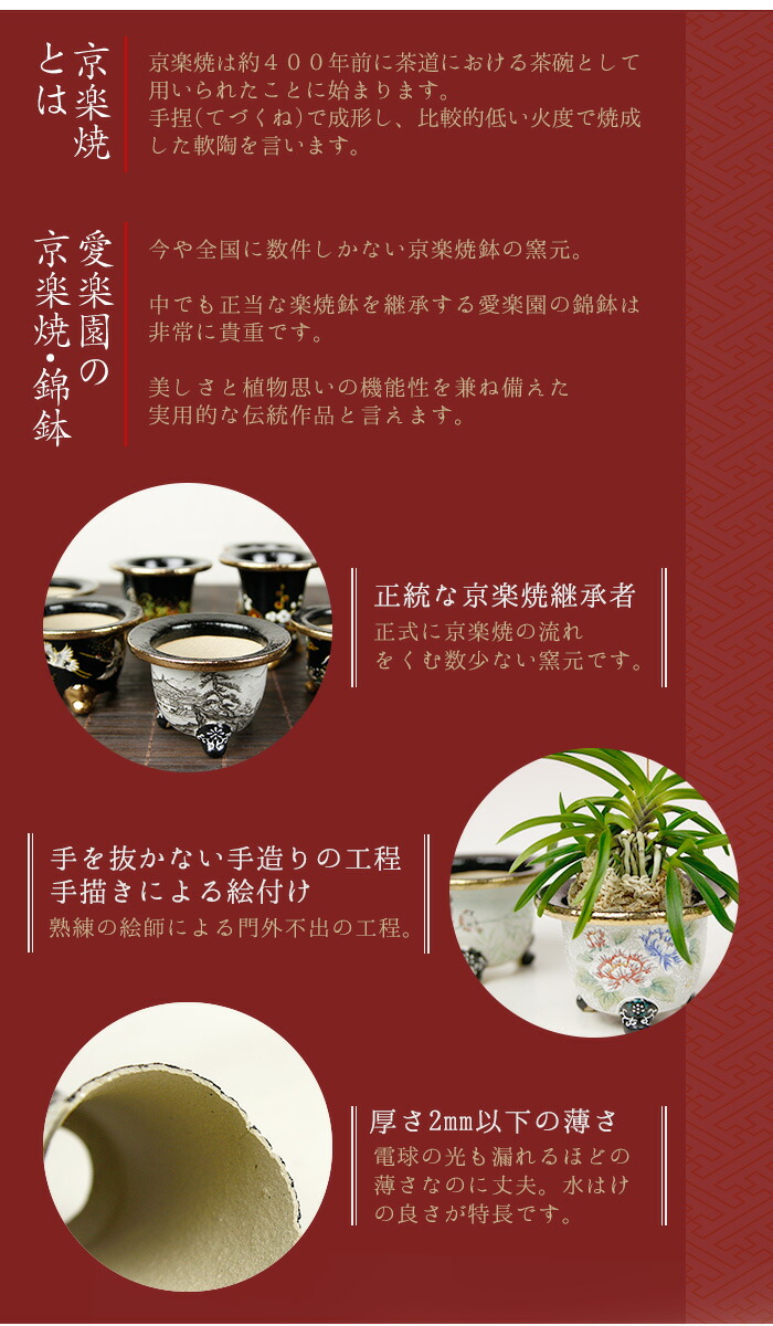 楽天市場】◇京楽焼窯元「愛楽園」直送◇『富貴蘭鉢 虎・新龍・鳳凰