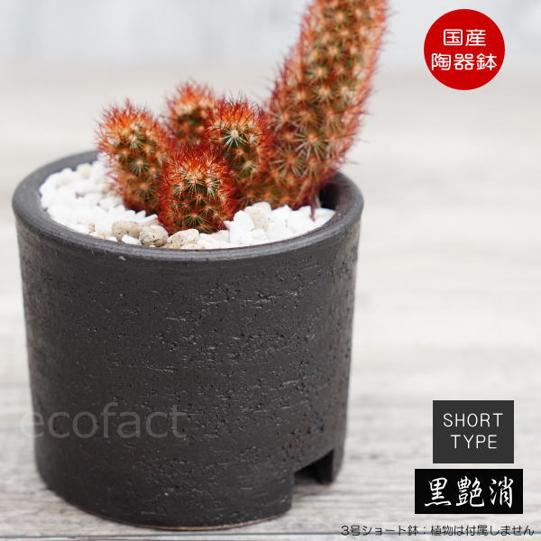 楽天市場】陶器鉢 植木鉢 3号ショートタイプ 筒型 ブラック 艶消し黒
