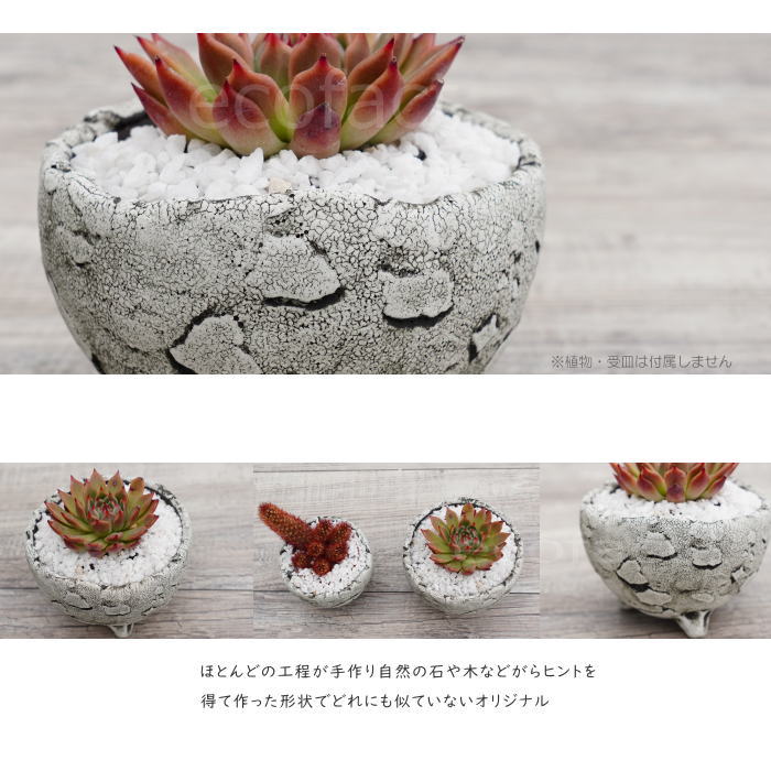 楽天市場】陶器鉢 植木鉢 ミニポット 底穴あり BUNGA POT エッグ（S