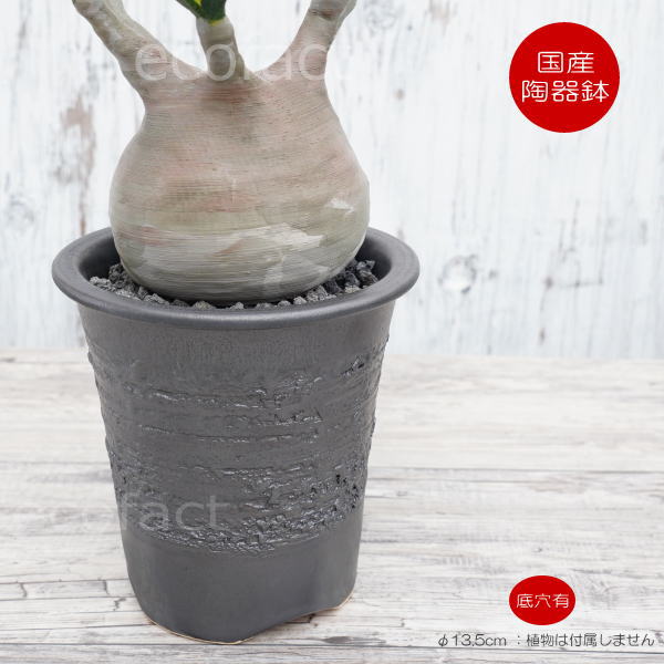 楽天市場】陶器鉢 植木鉢 縦長鉢 メタル（焼鉄色 ）φ13.5cm おしゃれ