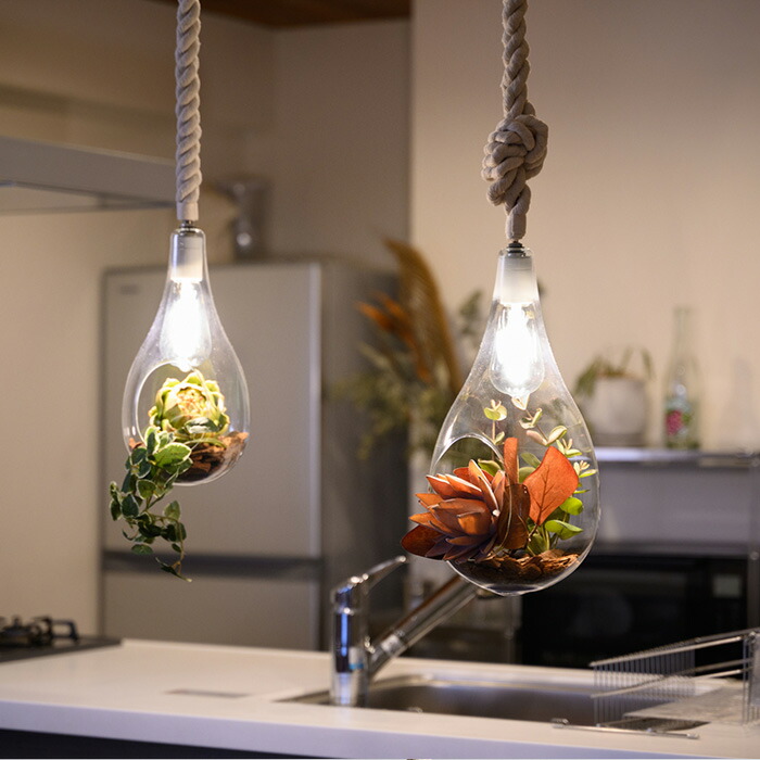 楽天市場】Another Garden アナザーガーデン ボタニックハンギング