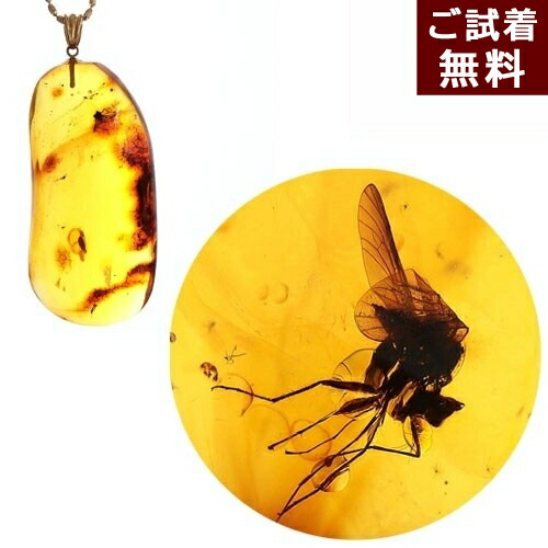 楽天市場】化石 虫入り琥珀 ペンダントトップ ネックレス ハチ 蜂