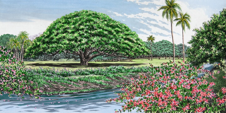 キャロルコレット「MOANALUA GARDEN 」銅版画＋手彩色 直筆サイン有