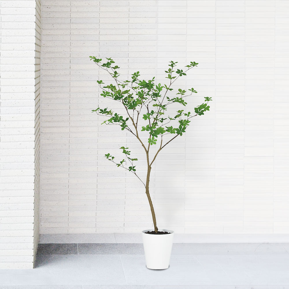 楽天市場】ドウダンツツジ おしゃれ フェイクグリーン 人気 インテリア