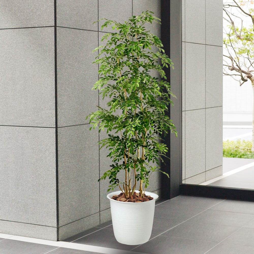 楽天市場】フェイクグリーン おしゃれ 人気 リアル おすすめ トネリコ