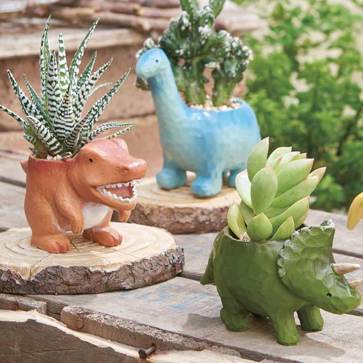 楽天市場】ミニミニレジンポット 恐竜 1号鉢 1号ポット 多肉植物