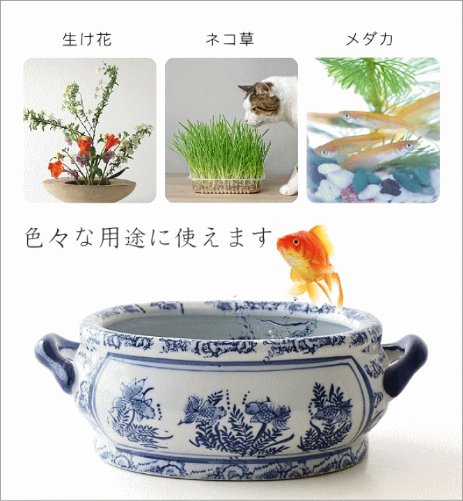 楽天市場】金魚鉢 陶器 おしゃれ 和風 水鉢 メダカ鉢 かわいい レトロ