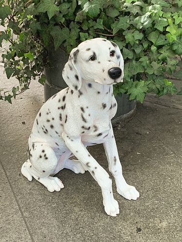 楽天市場】ダルメシアン(ブラックスポット）ガーデニング 犬 置物