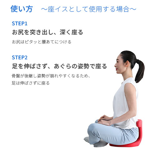 楽天市場】アーユル・チェアー メディカルシート 座椅子＆座面シート