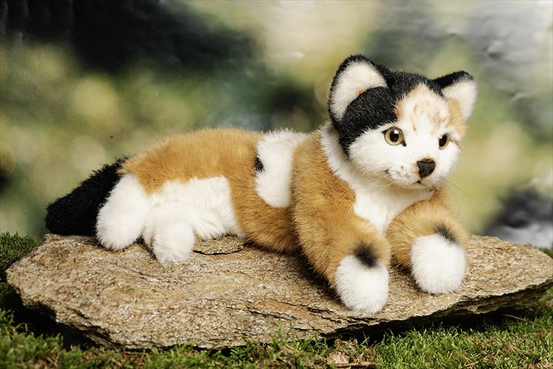 楽天市場】ケーセン ぬいぐるみ Kosen 三毛猫「セルサ」 32cm【 リアル