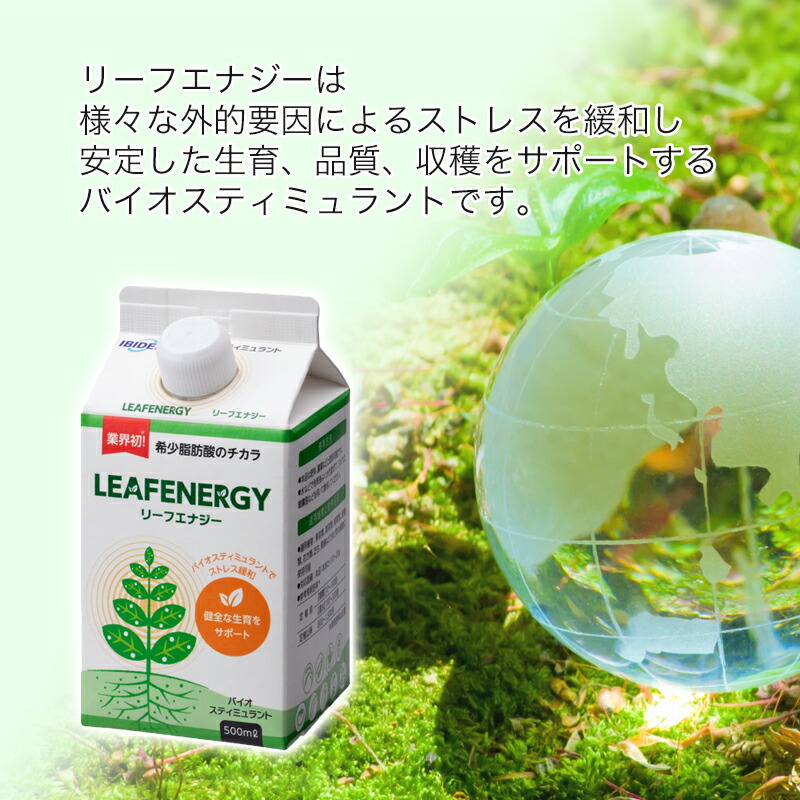 楽天市場】【お試しサイズ】リーフエナジー1個入 液体 500ml 紙