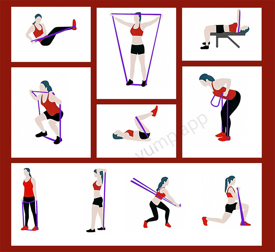 楽天市場】トレーニングチューブ 5本セット 強度別 懸垂 補助 アシスト