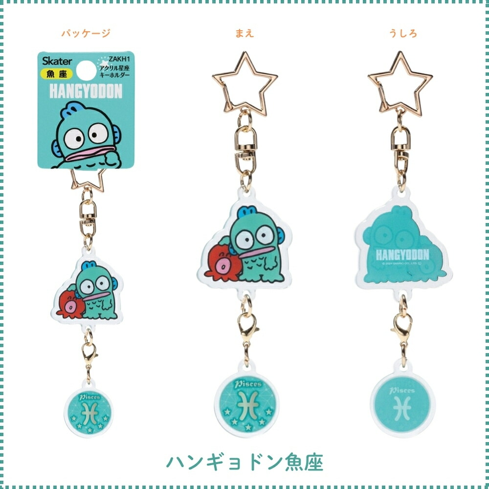 楽天市場】【2025 年間ベストショップ受賞】スケーター ZAKH1 アクリル