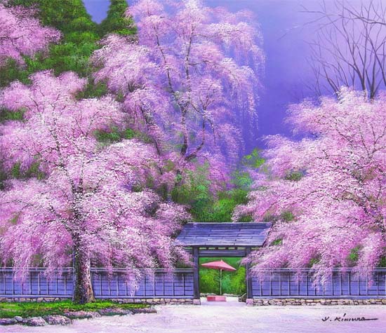 楽天市場】絵画 油絵 角館の桜 F50号 （木村由記夫） 送料無料【肉筆