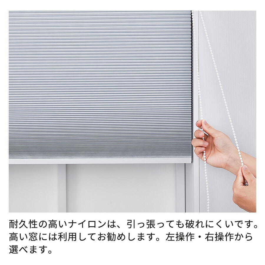 楽天市場】＼マラソン期間！20%OFFクーポン +P6倍／【レビュー特典