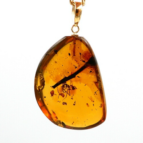 楽天市場】化石 虫入り琥珀 ネックレス ペンダントトップ 蟻 アリ 縦