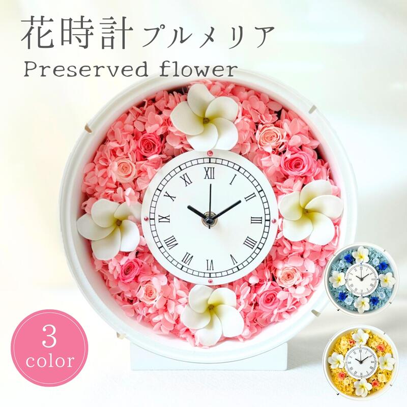 楽天市場】プリザーブドフラワー プルメリア サークル 花 時計