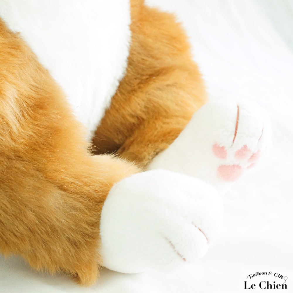 楽天市場】ぬいぐるみ 猫 【わさ美Wasabi】Cuddly カドリー）こだわり