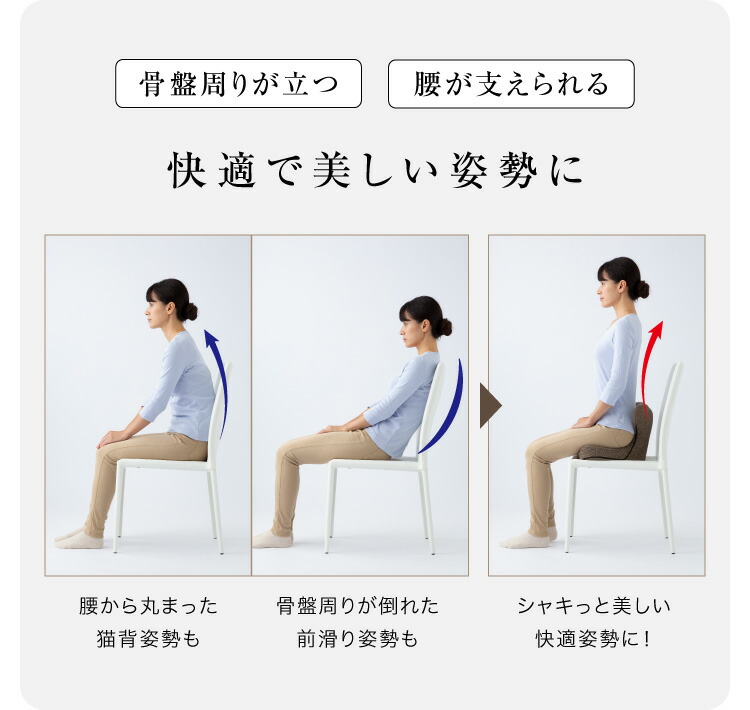 楽天市場】【送料無料】馬具マットプレミアムアドバンスオフィスの