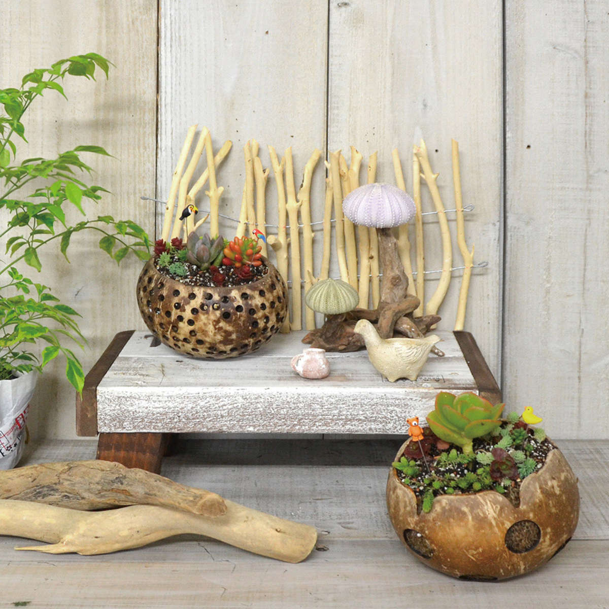 楽天市場】ガーデンピック ミニピック カメ ヘビ カエル 3種セット