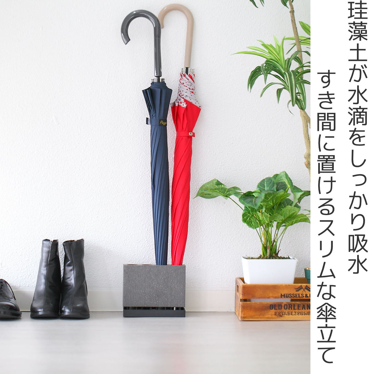 楽天市場】karari 傘立て スリム 珪藻土 4本用 （ カラリ お手入れ簡単