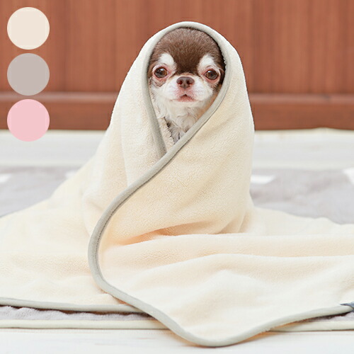 新品・未使用】ムンク展 マイクロファイバータオル (コダック) 新品