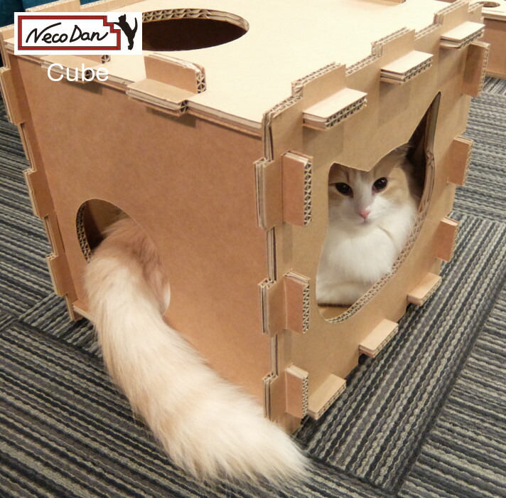 楽天市場】【NecoDan Cube/またたび付】ねこだん 猫用品 おもちゃ 遊具