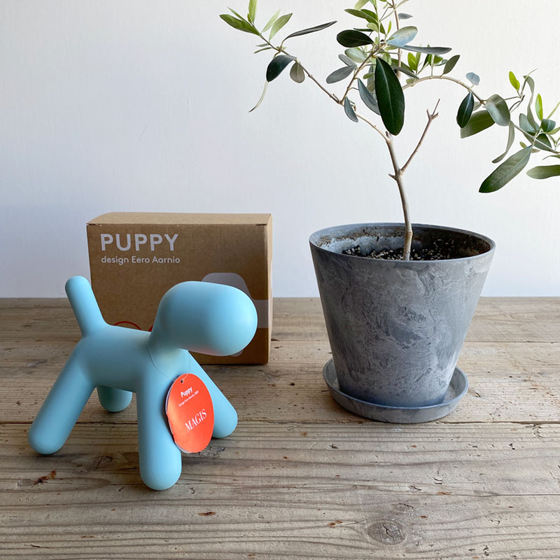 楽天市場】マジス パピー XS MAGIS PUPPY XS ブラック レッド コーラル