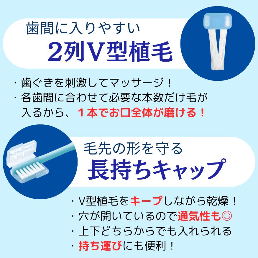 楽天市場】【公式】つまようじ法 V7歯ブラシ 簡易包装クリアカラー 1
