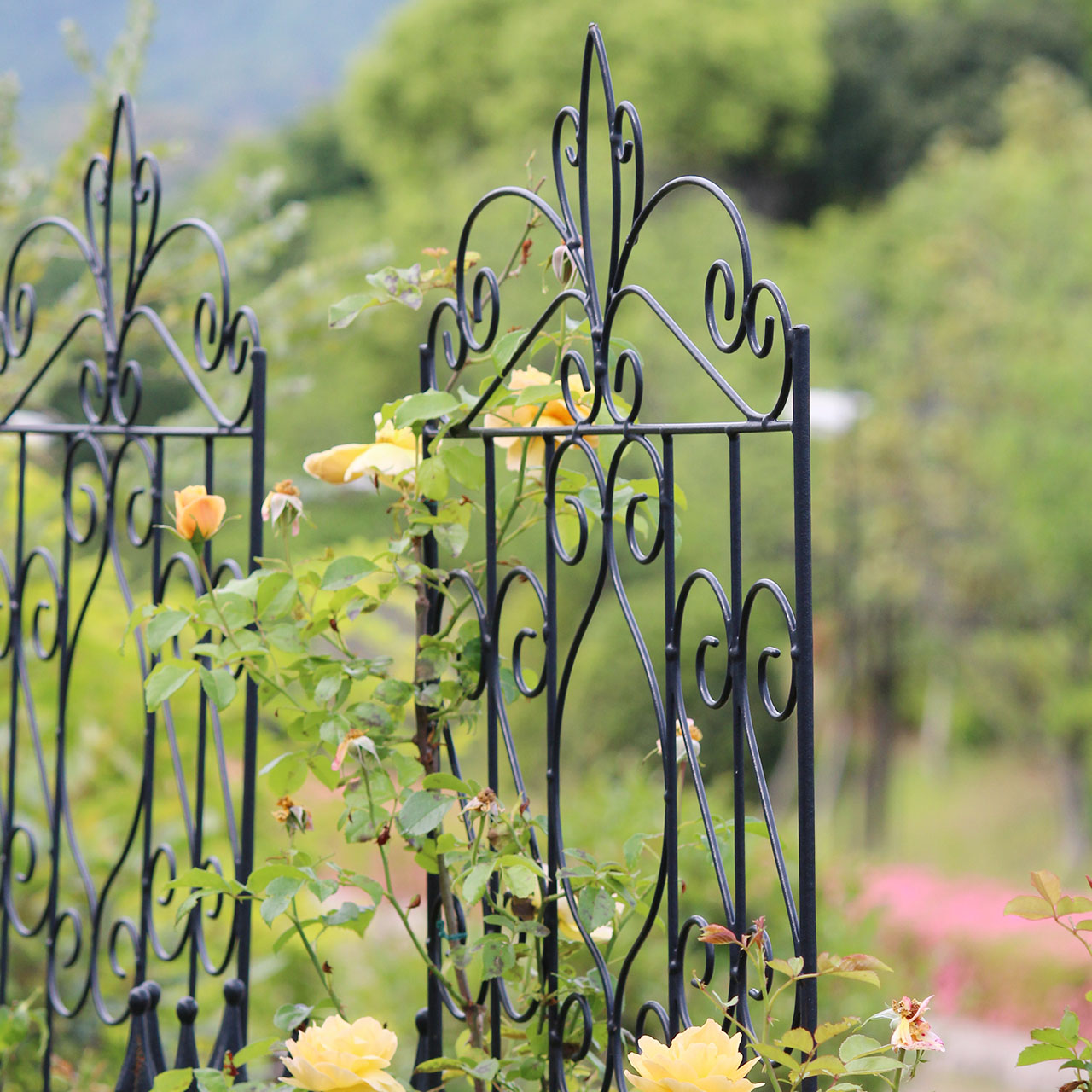 楽天市場】g story デザイン トレリスの通販