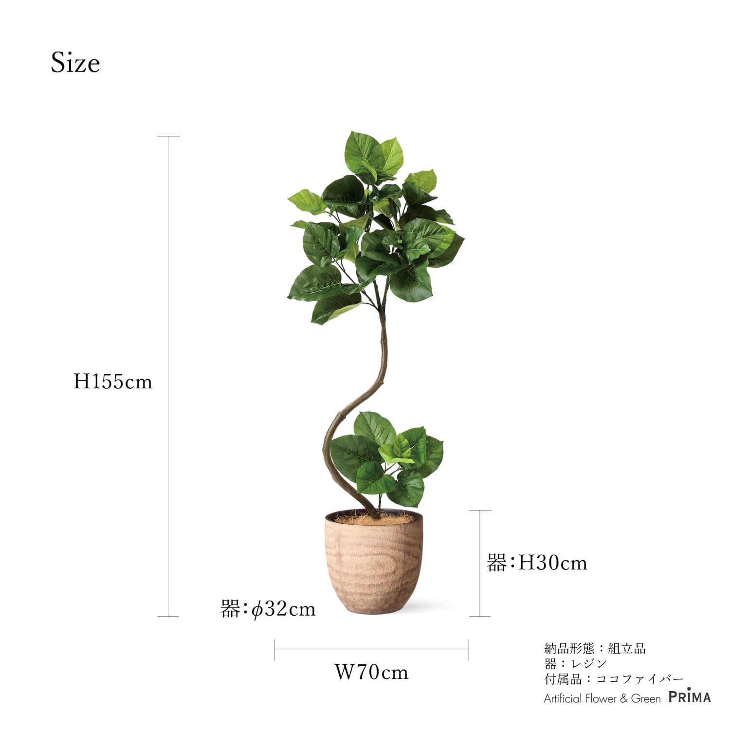 楽天市場】【ポイントUP】【公式】ツイストウンベラータ ウッドポット