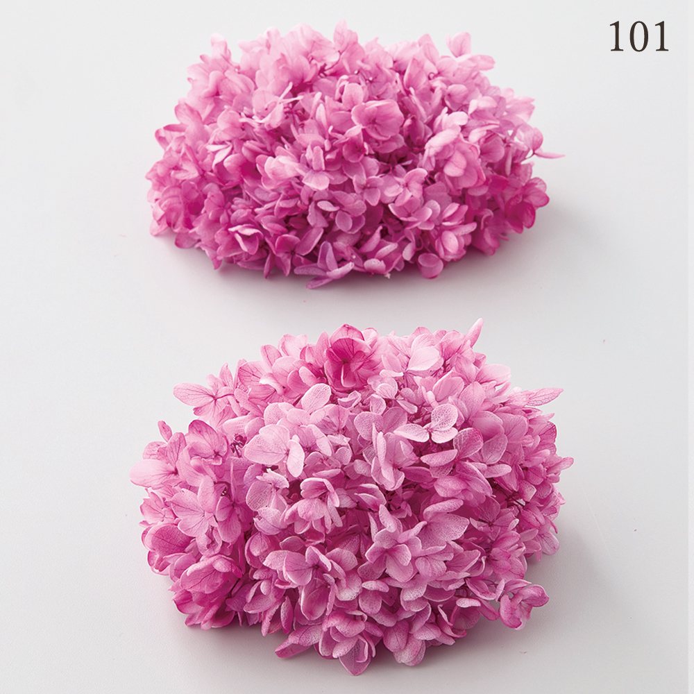 楽天市場】【P15倍中 2/24 9:59まで】 プリザーブドフラワー 花材