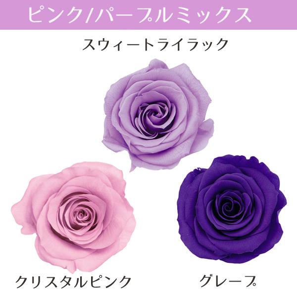 楽天市場】【P15倍中 2/24 9:59まで】 プリザーブドフラワー 花材