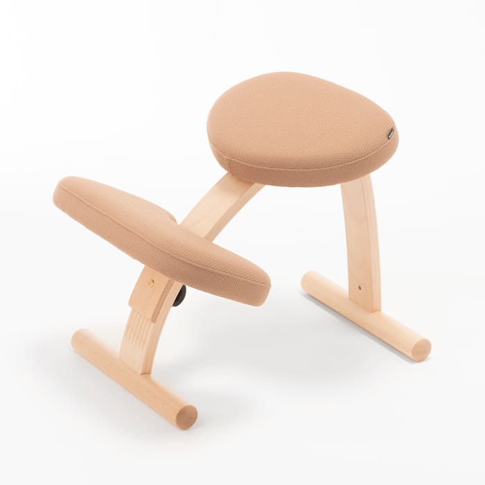 楽天市場】【通算156週1位！】バランスチェア バランス イージー 学習