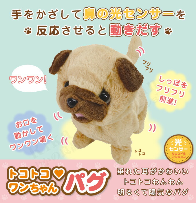 楽天市場】【包装無料】トコトコ ワンちゃん ☆後払い可！☆ トコトコ