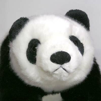 楽天市場】リアル パンダ こどもぬいぐるみ（吉徳） ｜ぱんだグッズ