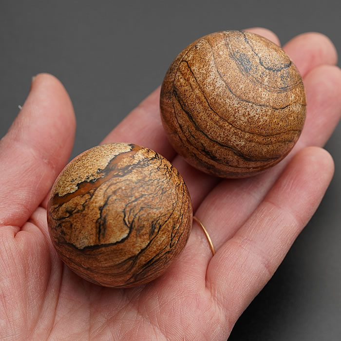 楽天市場】【希少】【数量限定】ペトリファイドウッド 珪化木 約36