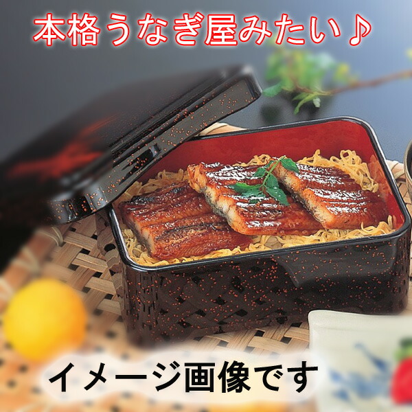 楽天市場】クーポン有 うなぎ重箱 光月 丼重 溜内朱 【文字入れ・ロゴ