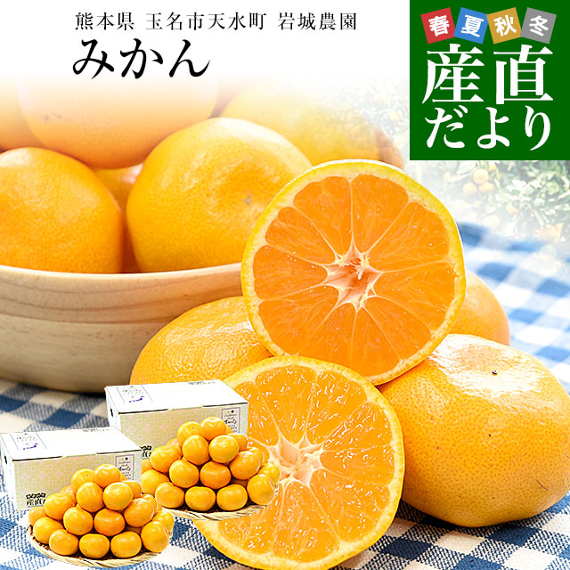 楽天市場】熊本県から産地直送 玉名市天水町 岩城農園 みかん LからS