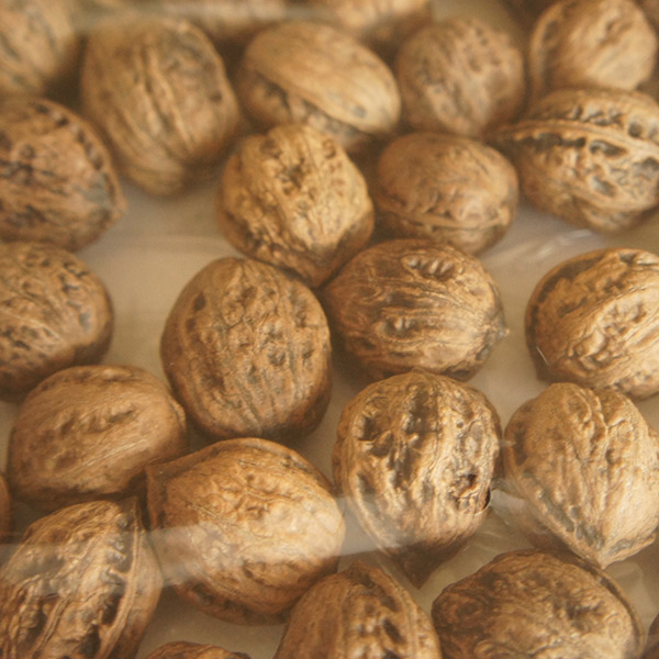 楽天市場】最大3000円OFFクーポンあり 300円OFFクーポンあり 和くるみ