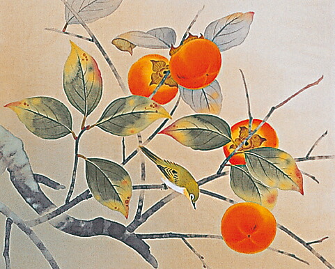 楽天市場】掛け軸 掛軸(かけじく) 柿に小禽（穂積 弘文）全国送料無料